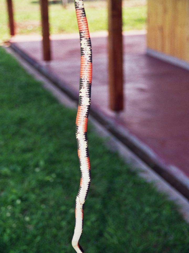 FIGURE 3 FIGURE 3